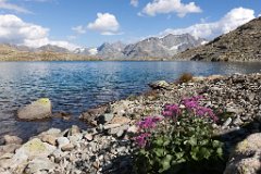 1 - Corvatsch - Tscheppasee